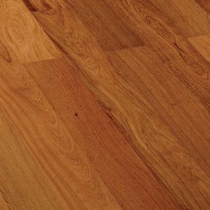 jatoba 3